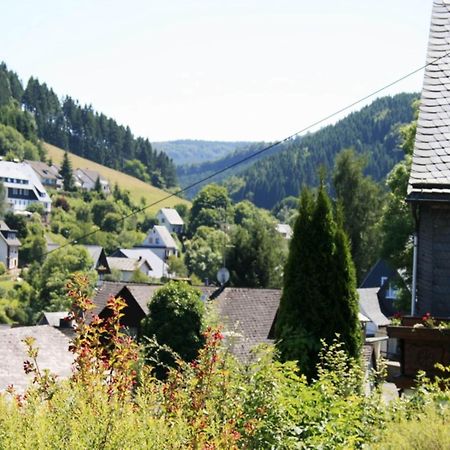 Large Holiday Home In Willingen With Private Garden And Several Terraces Exterior foto