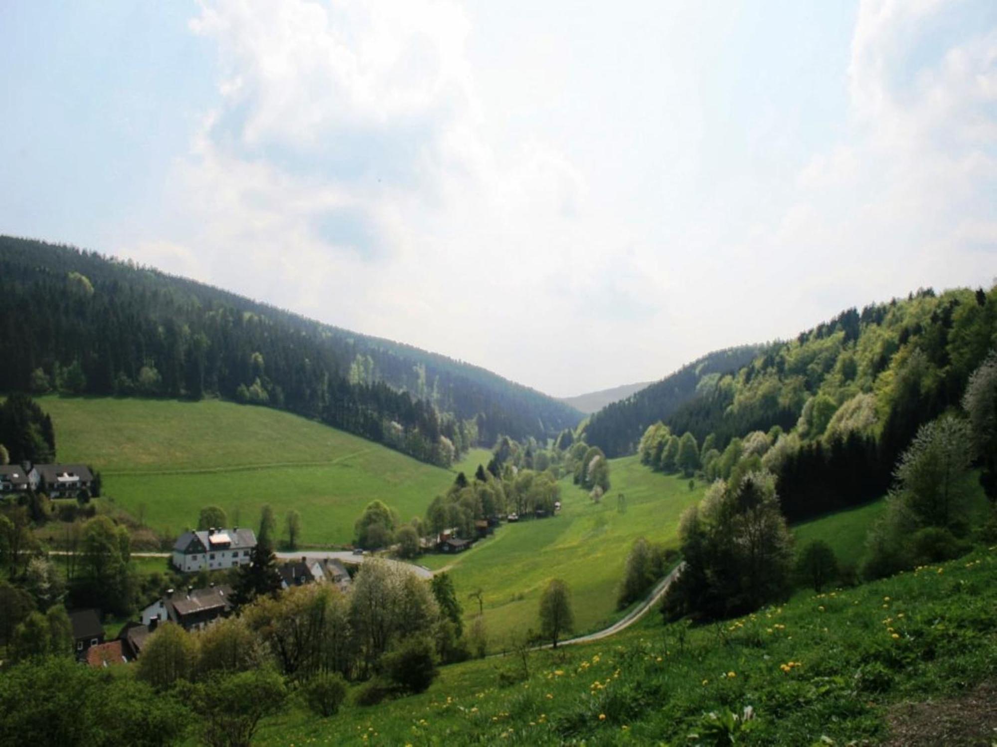 Large Holiday Home In Willingen With Private Garden And Several Terraces Exterior foto