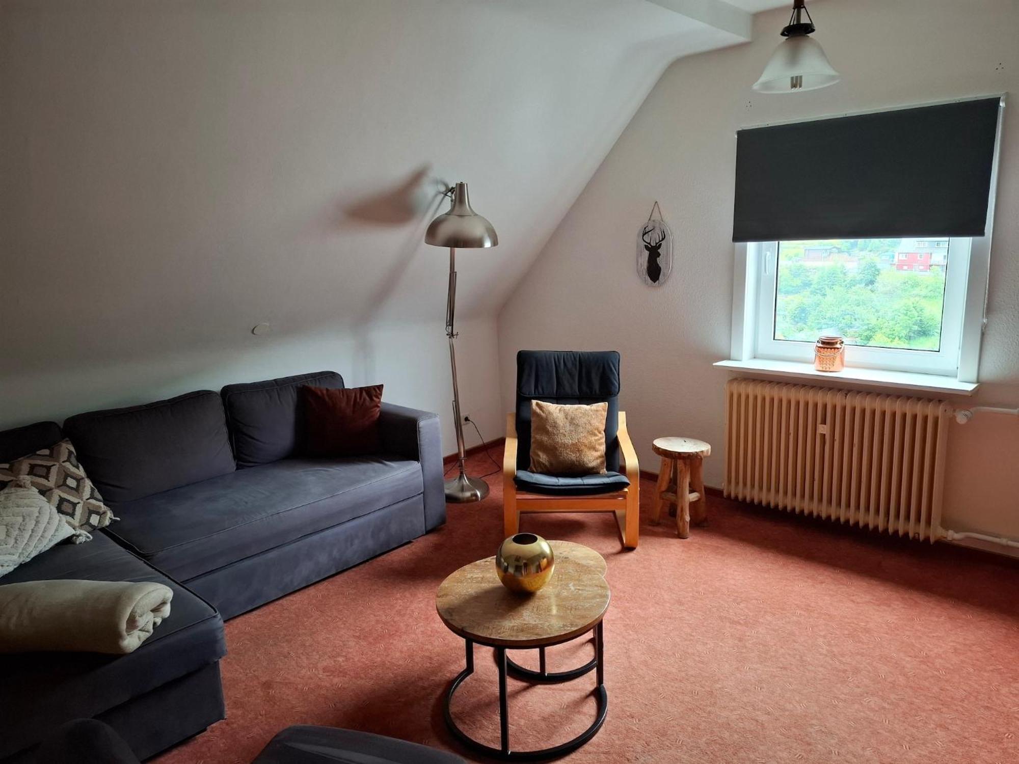 Large Holiday Home In Willingen With Private Garden And Several Terraces Exterior foto